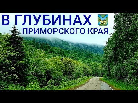 Видео: Как живёт Приморский край? | Родина вертолётов и эталон природы