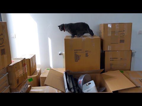 Видео: VLOG: НАШ ПЕРЕЕЗД В ДОМ! 02.10.20