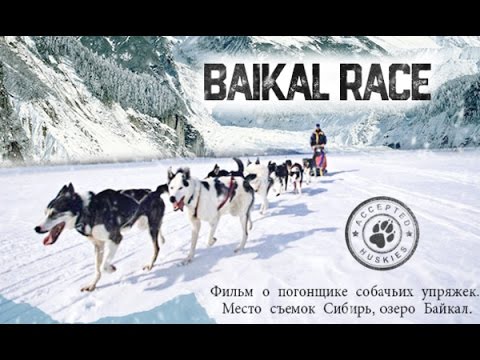 Видео: Гонка на собачьих упряжках на Байкале. A sled dog race "BAIKAL RACE-2016" at Baikal