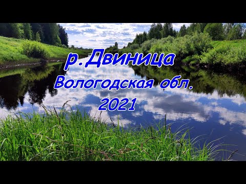 Видео: Сплав: река Двиница 2021 (Вологодская обл.)