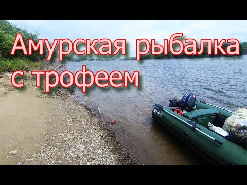 Видео: Амурская рыбалка с трофеем ⛴🐠🐋🦈