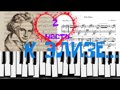 Видео: Выучим К Элизе за ТРИ урока. Урок 2.