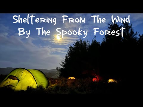 Видео: Укрытие от ветра в жутком лесу