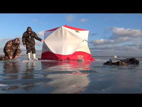 Видео: Рыбалка с Ночёвкой. Эх, Серёга, Серёга