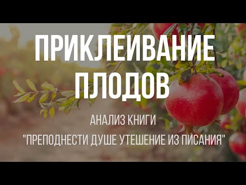 Видео: Всё происходит в сердце | Алексей Прокопенко