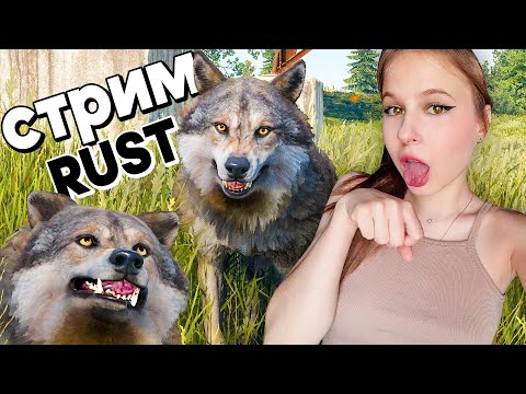 Видео: Стрим ОДИНОКОЙ ВОЛЧИЦЫ по RUST! Расслабляющий вечер в РАСТ!