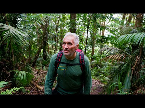 Видео: Как поменялось восприятие мира через два года проживания на Филиппинах