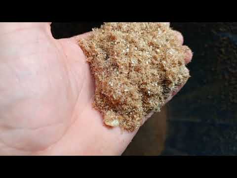 Видео: ‼️## Затарился пшеницей и ячменём, цены на зерно##‼️