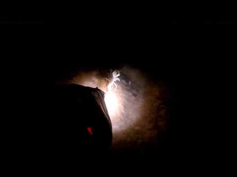 Видео: Ночная подводная охота на морского судака(берш) #каспийскоеморе #актау #pelengas