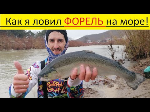 Видео: Форель рыбалка на черном море