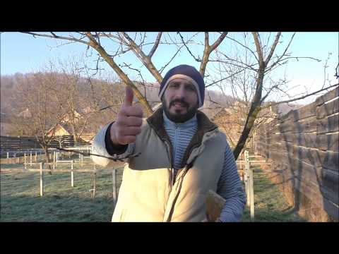 Видео: Пропала влага в ульях из ЭППС . Собрались ли пчелы в клуб после 2 недель теплой погоды ? 30.12.2019