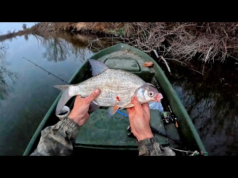 Видео: ГИГАНСТКАЯ ГУСТЕРА (БОРА) И СОМЫ НА ПРОСТУЮ ДОНКУ. НОЧНАЯ РЫБАЛКА С ЛОДКИ. Федя передает привет!