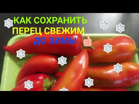 Видео: 🌶️КАК СОХРАНИТЬ ПЕРЕЦ СВЕЖИМ ДО ЗИМЫ❄️В ДОМАШНИХ УСЛОВИЯХ