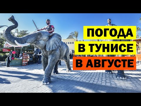 Видео: Погода в Тунисе в августе. Температура воды в море в Тунисе