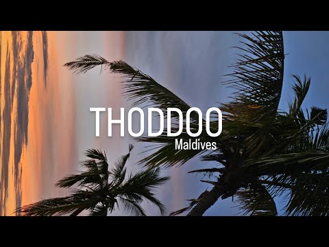 Видео: THODDOO MALDIVES'24 | Тодду, Мальдивы, январь 2024г. | часть 1