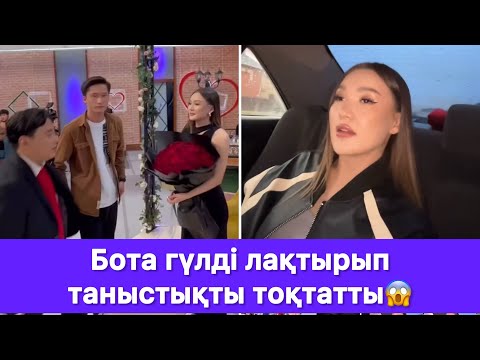 Видео: Бота гүлді лақтырып таныстықты тоқтатты😱