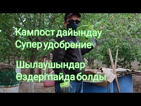 Видео: .КАМПОСТ ДАЙЫНДАУ. 2-бөлім.Шылаушындар қалай пайда болды
