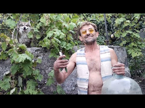 Видео: Утерянный секрет виноделия.