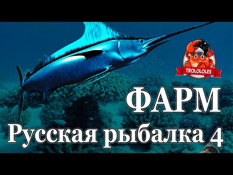 Видео: Русская рыбалка 4 Рыба меч  Акула ГИГАНТСКАЯ фарм на Норвежском море