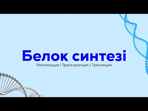 Видео: Белок синтезі | Репликация | Транскрипция | Трансляция