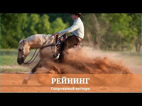 Видео: Спортивный вестерн. Рейнинг. Reining.
