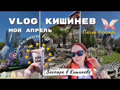 Видео: VLOG Кишинев на Пасху 🐣 Мой Апрель | Шенгенская виза 🇪🇺|  Городской зоопарк 🦓