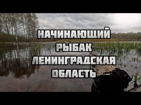 Видео: НАЧИНАЮЩИЙ РЫБАК - ЛЕНИНГРАДСКАЯ ОБЛАСТЬ