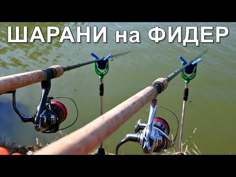 Видео: РИБОЛОВ на ШАРАНИ с ФИДЕР - ЗАХРАНКИ, ПЕЛЕТИ и СТРЪВ - КАК да ги ЛОВИМ