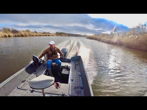 Видео: Рибалка на ХИЖАКА в Келеберді з БОРТУ ALUMAGIC400🚤Роспаковка Ulefone Armor 22