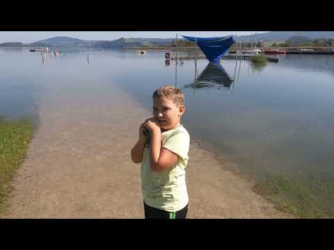 Видео: Австрия. Seekirchen & Wallersee