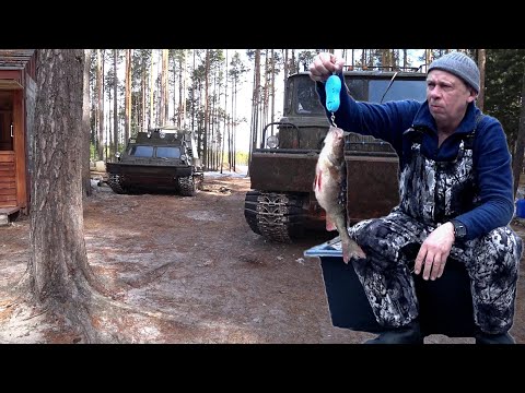 Видео: На рыбалку за адреналином. Часть 1