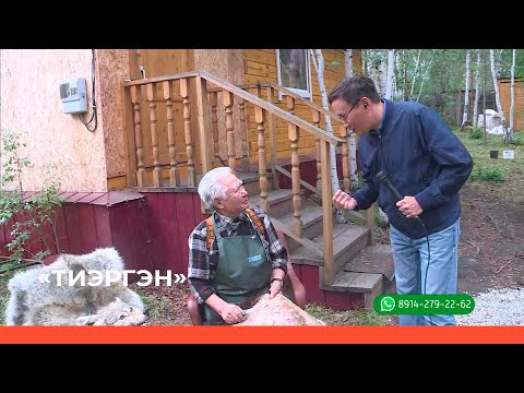Видео: «Тиэргэн» биэриигэ: таксидермист идэтин туһунан (18.08.22)
