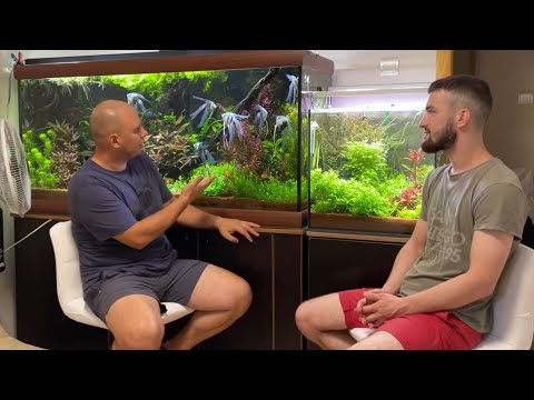 Видео: Роман Ярический. От простого маленького аквариума, к большому и сложному