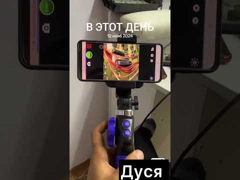 Видео: #дусяшым 