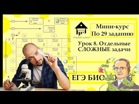 Видео: Мини-курс по задачам по генетике. Урок 8. Отдельные СЛОЖНЫЕ задачи |ЕГЭ БИОЛОГИЯ|Freedom|