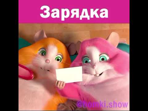 Видео: Сборник 2020 Видео Хомки Шоу из Инстаграма