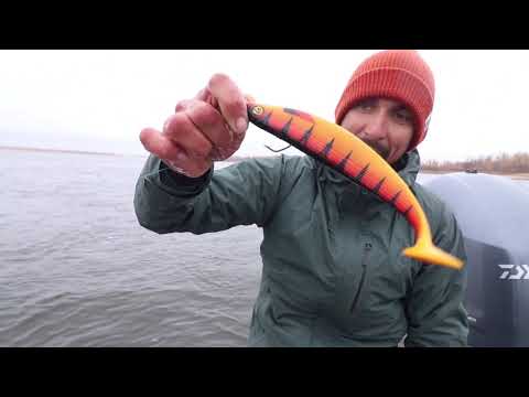 Видео: Daiwa Team. Волжские судаки на джиг.