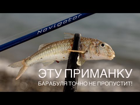 Видео: Эту приманку БАРАБУЛЯ ТОЧНО НЕ ПРОПУСТИТ😁 Ловля барабули на спиннинг🎣