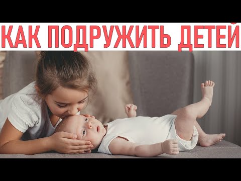 Видео: КАК ПОДРУЖИТЬ БРАТЬЕВ И СЕСТЕР | 6 советов для мудрых родителей