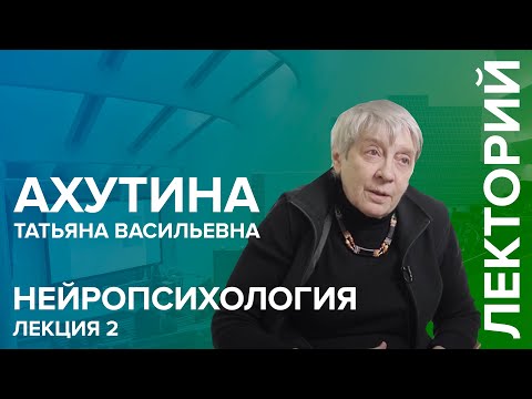 Видео: "Нейропсихология" лекция №2 Ахутиной Т.В.