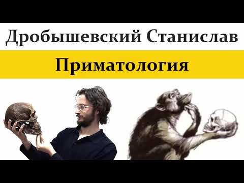 Видео: 🐵 Дробышевский С. Происхождение человека. Video ReMastered.