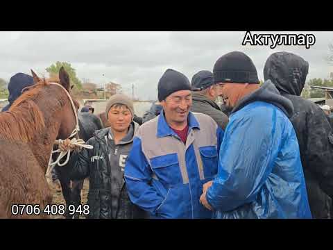 Видео: Бүгүнкү жылкы базар 4 ноября 2025 #Ноокен бүргөндү жылкы базар #жылкыбазар #атбазар #horse #rek 