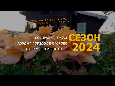 Видео: СОБИРАЕМ УРОЖАЙ/НАВОДИМ ПОРЯДОК НА УЧАСТКЕ/ГОТОВЛЮ ЯБЛОЧНОЕ ПЮРЕ #Ленинградская область #садоводство