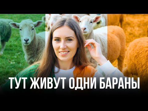 Видео: Почему все бегут из Ирландии: 10 реальных причин