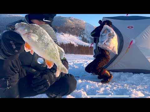 Видео: ОКУНИ МОНСТРЫ, ЛЕЩИ ДУПЛЕТАМИ И МЕШКИ РЫБЫ!!! ТАКОЕ НЕВОЗМОЖНО! Зимняя рыбалка в диких местах.