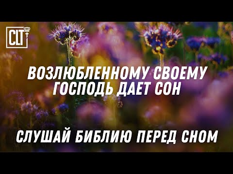 Видео: Ложусь я, сплю и встаю, ибо Господь защищает меня | Звуки природы | Библия перед сном | Relaxing