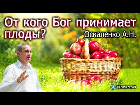 Видео: Оскаленко А.Н. От кого Бог принимает плоды?