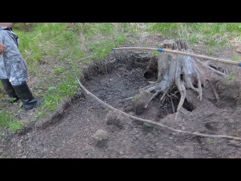 Видео: Проверка и обновление солонца