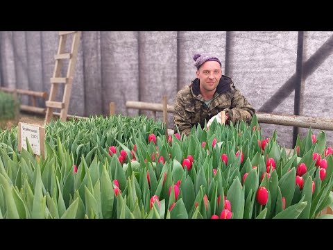 Видео: Подготовка в деревне к 8 Марта