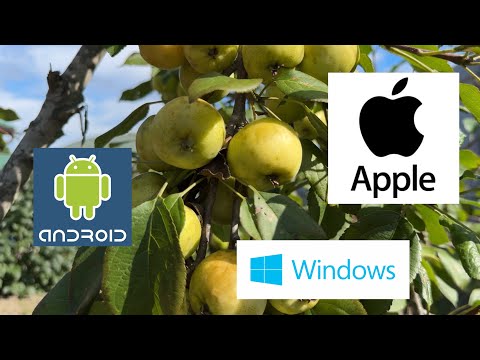 Видео: Почему люди покупают технику Apple?🍏